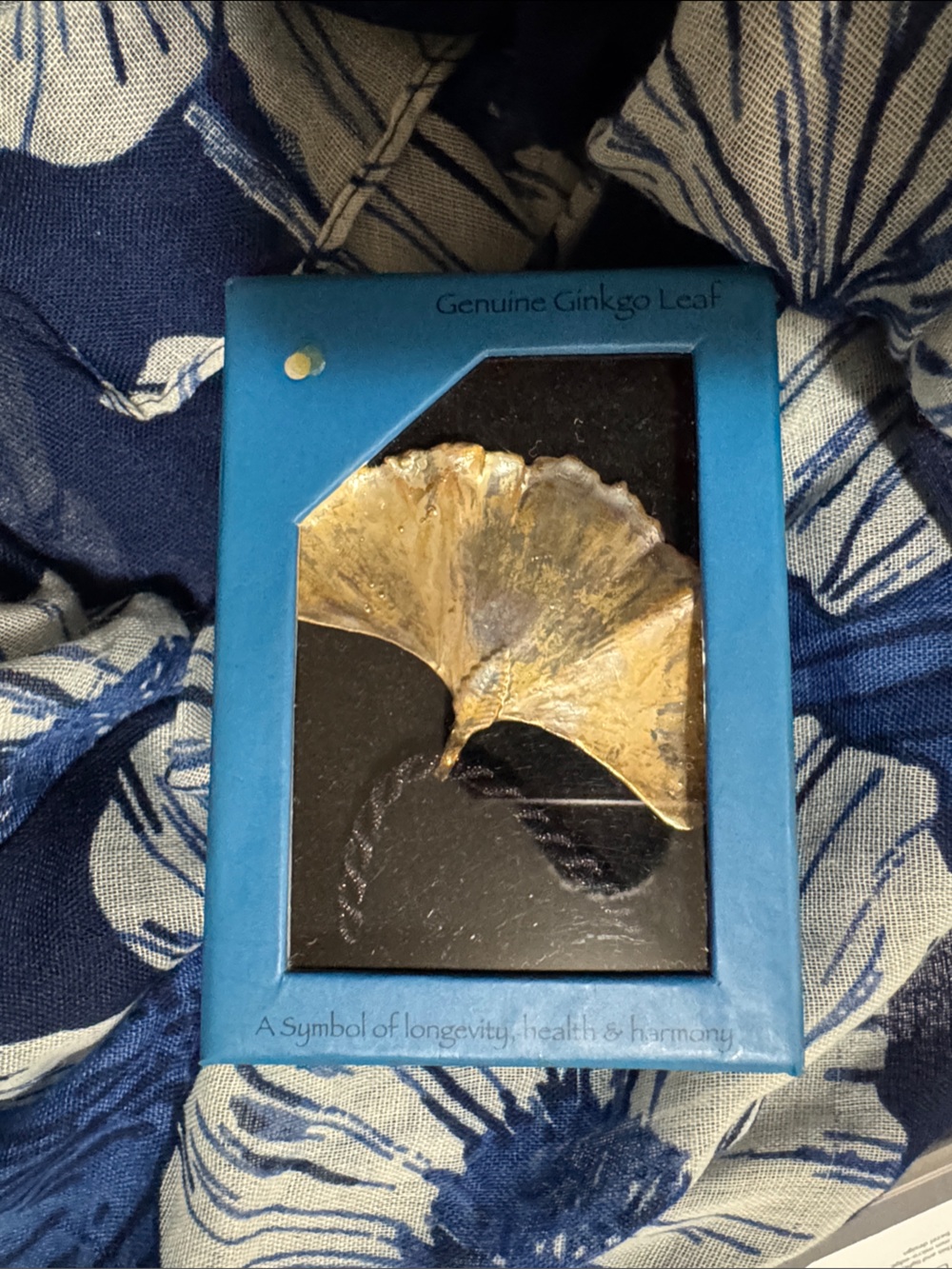 Genuine Ginkgo Leaf Necklace — Gold Accent on Black Cord